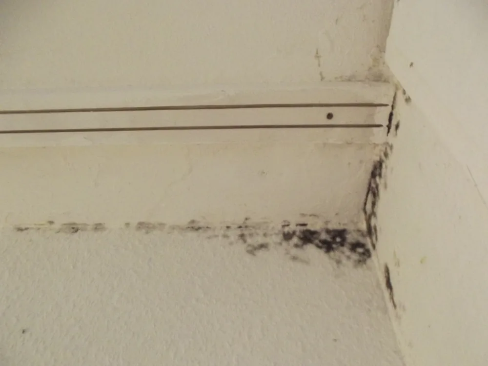 Technician in protective gear removing a mold-damaged wall in a Boxford home